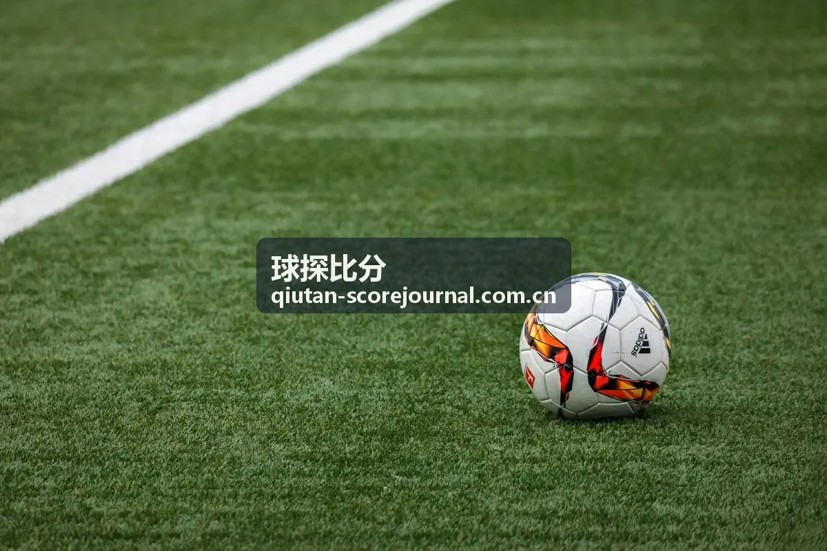 球探比分转会窗口球队变化报告封面